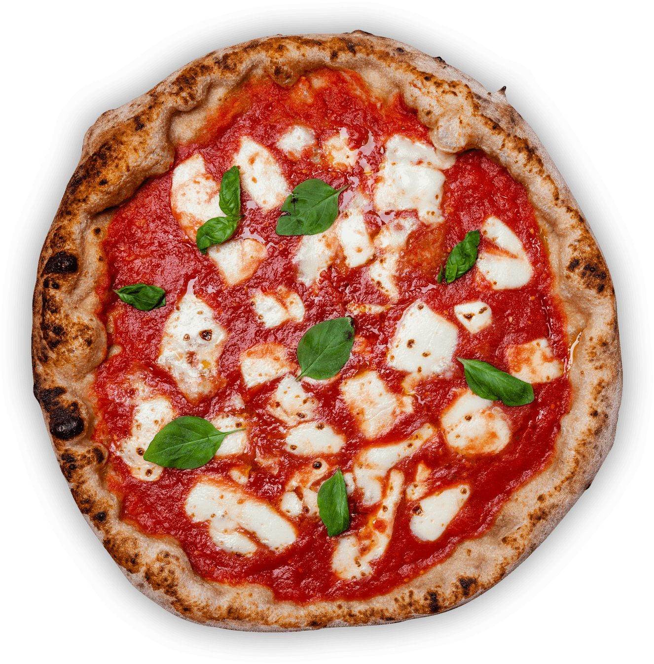 pizza margherita nettuno