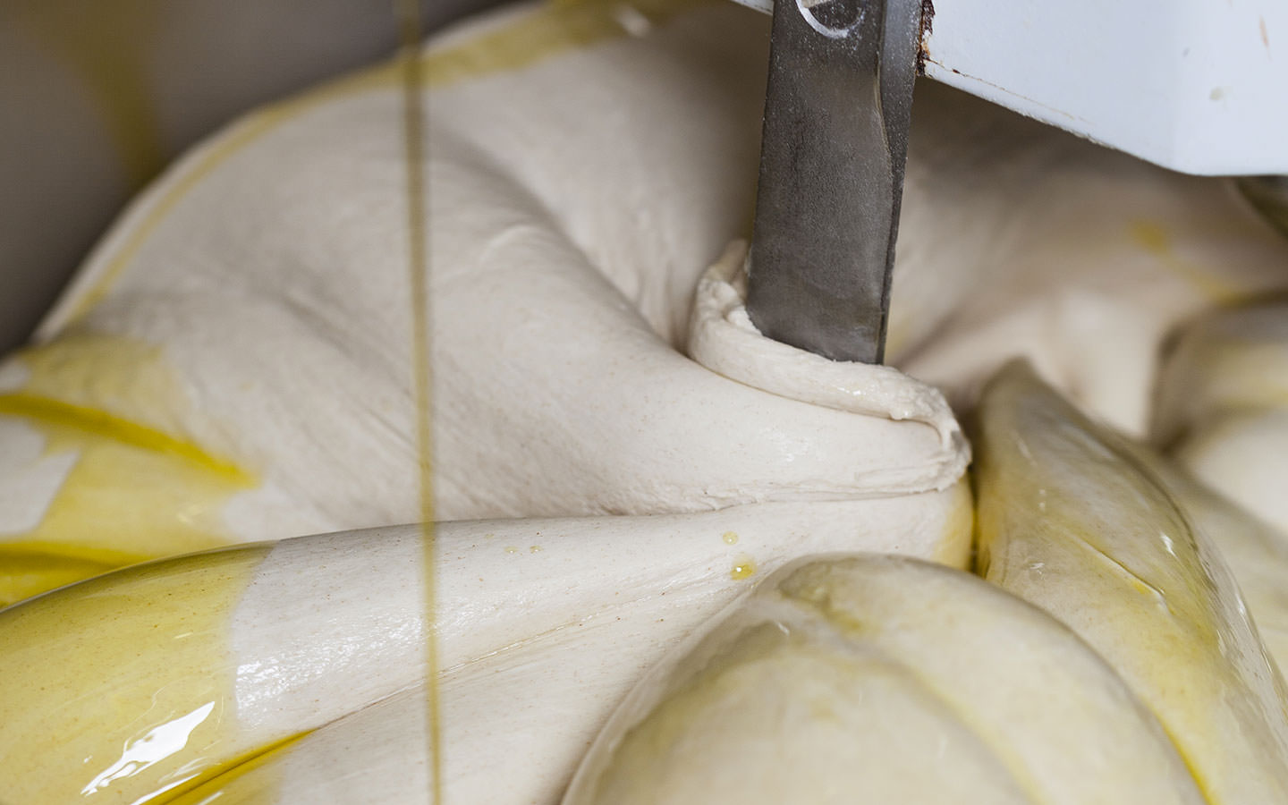 impasto pizza nettuno rapallo